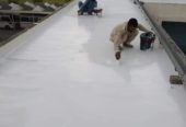 Roof Leakage and Heat Control